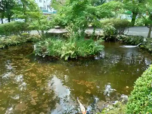 富士山本宮浅間大社の庭園