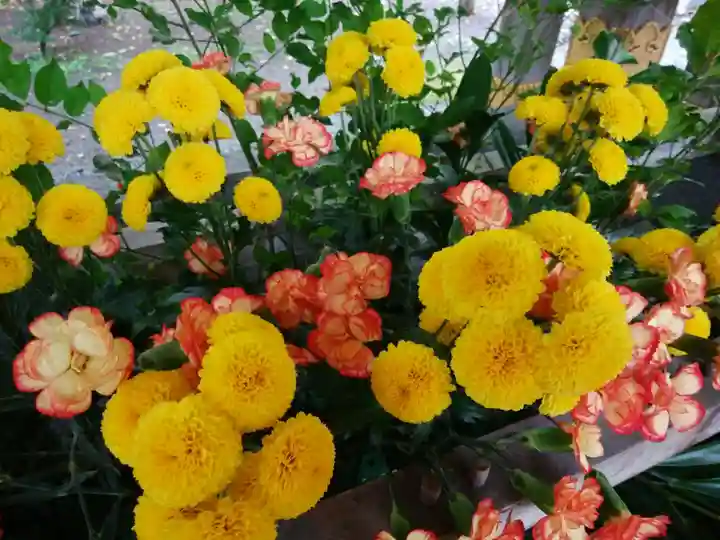 彌彦神社 (伊夜日子神社)の手水舎