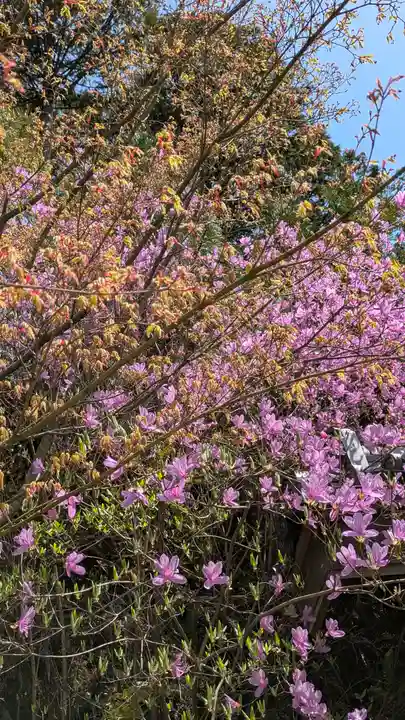 圓光寺(京都府)