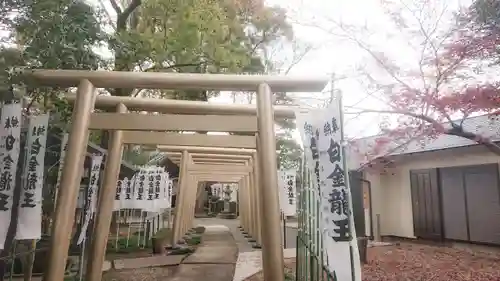 若宮神明社の鳥居