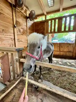 平塚八幡宮(神奈川県)