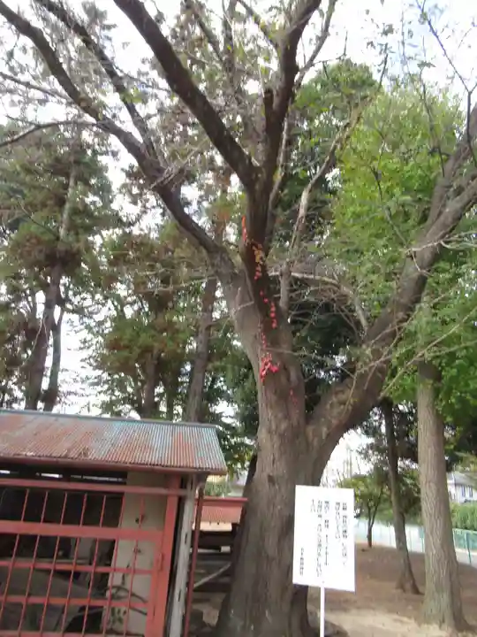 香取神社(千葉県)