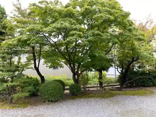 三宝荒神社の庭園