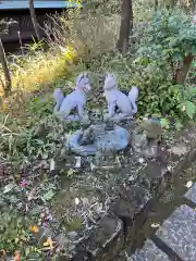 白金氷川神社の狛犬