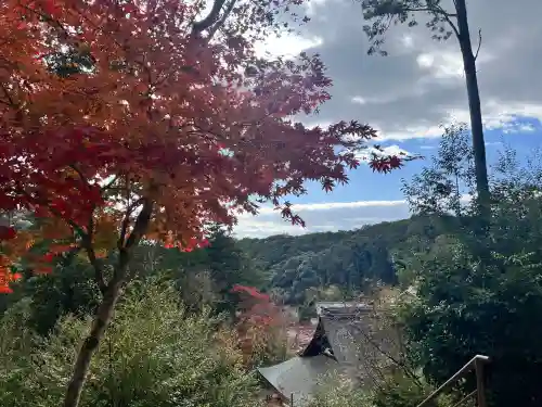 神峯山寺(大阪府)