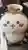 不夜さんのプロフィール画像