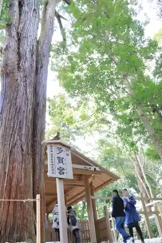 伊勢神宮外宮（豊受大神宮）(三重県)