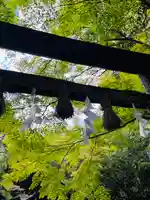 野宮神社(京都府)