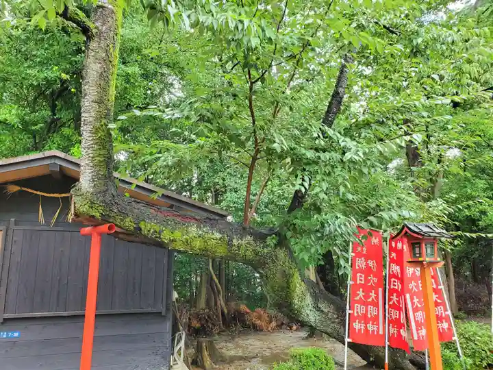 稲荷神社の自然