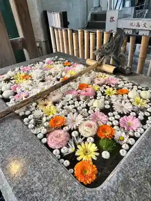 高円寺氷川神社(東京都)