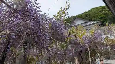禅徳寺(北海道)