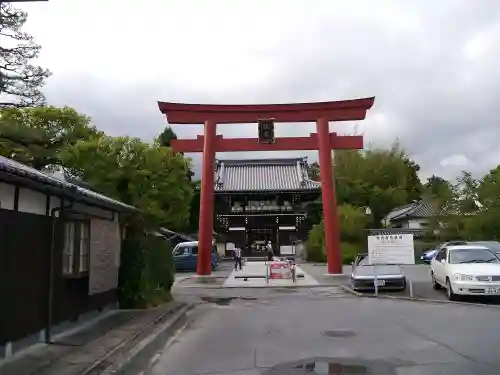 梅宮大社の鳥居