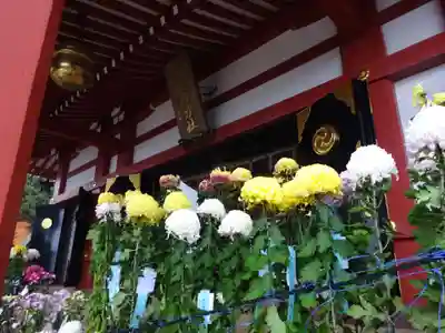 大山阿夫利神社の本殿・本堂