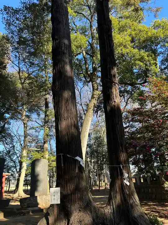 東蕗田天満社(茨城県)
