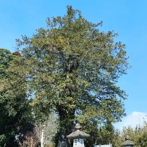 豊景神社の自然
