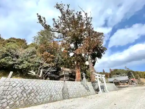 鞆田神社の建物その他