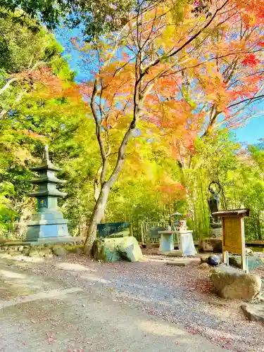 西明寺の{uncategorized: "未分類", other: "その他", undefined: "問題あり", building: "その他建物", grave: "お墓", sacred_gate: "鳥居", guardian: "狛犬", statue: "像", buddha: "仏像", history: "歴史", nature: "自然", garden: "庭園", animal: "動物", pagoda: "塔", temizu: "手水舎", mountain_gate: "山門・神門", sanctuary: "本殿・本堂", subordinate: "末社・摂社", art: "芸術", scenery: "景色", jizo: "地蔵", ema: "絵馬", goshuin: "御朱印", omikuji: "おみくじ", items: "授与品その他", amulet: "お守り", goshuincho: "御朱印帳", eats: "食事", festival: "お祭り", votive_dance: "神楽", shichigosan: "七五三参", wedding: "結婚式", experience: "体験その他", initially: "初詣", around: "周辺", anti_infection: "感染症対策"}