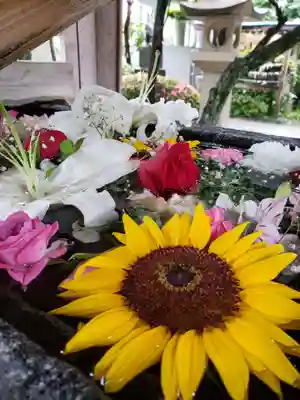 鳩森八幡神社の手水舎