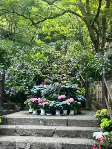 長谷寺(奈良県)