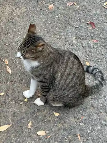 王子神社(徳島県)