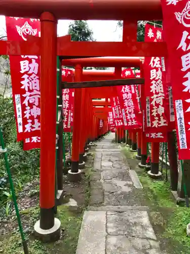 佐助稲荷神社の鳥居