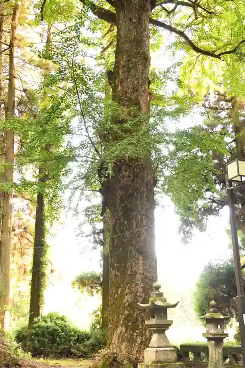 祖母神社(熊本県)