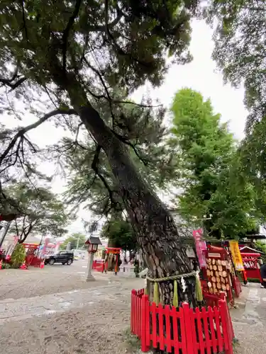 鴻神社の景色