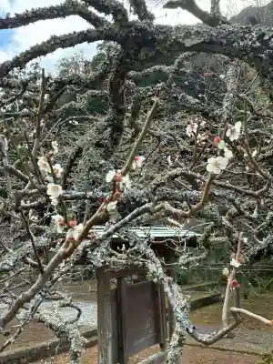 最勝院(静岡県)