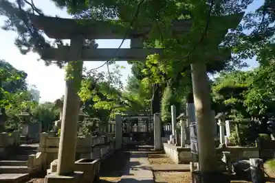 護国寺の鳥居