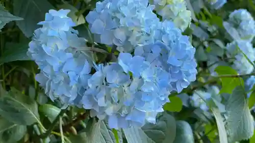 坪沼八幡神社の自然