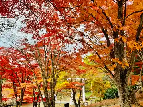 土津神社｜こどもと出世の神さまの景色