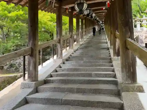 長谷寺の{uncategorized: "未分類", other: "その他", undefined: "問題あり", building: "その他建物", grave: "お墓", sacred_gate: "鳥居", guardian: "狛犬", statue: "像", buddha: "仏像", history: "歴史", nature: "自然", garden: "庭園", animal: "動物", pagoda: "塔", temizu: "手水舎", mountain_gate: "山門・神門", sanctuary: "本殿・本堂", subordinate: "末社・摂社", art: "芸術", scenery: "景色", jizo: "地蔵", ema: "絵馬", goshuin: "御朱印", omikuji: "おみくじ", items: "授与品その他", amulet: "お守り", goshuincho: "御朱印帳", eats: "食事", festival: "お祭り", votive_dance: "神楽", shichigosan: "七五三参", wedding: "結婚式", experience: "体験その他", initially: "初詣", around: "周辺", anti_infection: "感染症対策"}