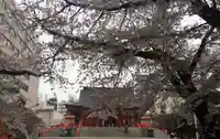花園神社の自然