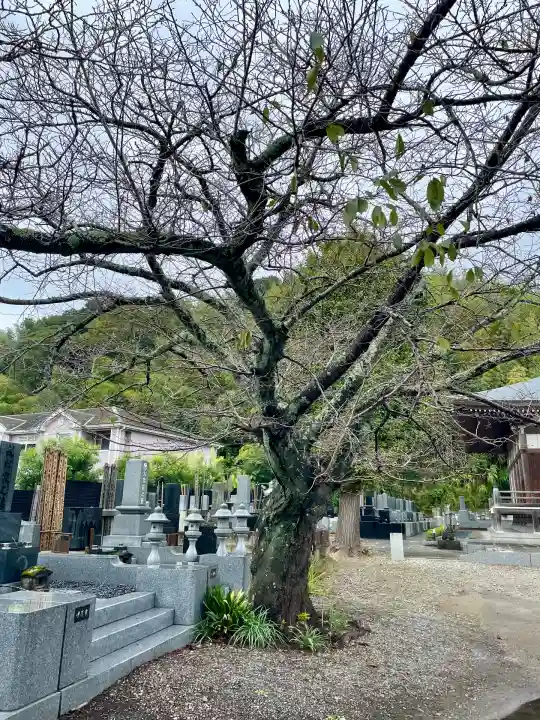 正徳寺(千葉県)