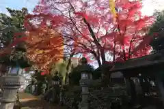 神炊館神社 ⁂奥州須賀川総鎮守⁂の景色