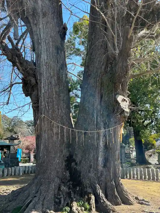 鑁阿寺(栃木県)