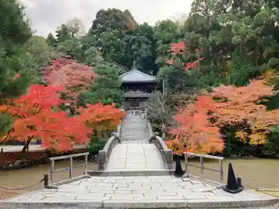 知恩院(京都府)