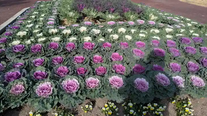 半木神社(賀茂別雷神社境外末社)(京都府)