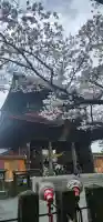 阿蘇神社の{uncategorized: "未分類", other: "その他", undefined: "問題あり", building: "その他建物", grave: "お墓", sacred_gate: "鳥居", guardian: "狛犬", statue: "像", buddha: "仏像", history: "歴史", nature: "自然", garden: "庭園", animal: "動物", pagoda: "塔", temizu: "手水舎", mountain_gate: "山門・神門", sanctuary: "本殿・本堂", subordinate: "末社・摂社", art: "芸術", scenery: "景色", jizo: "地蔵", ema: "絵馬", goshuin: "御朱印", omikuji: "おみくじ", items: "授与品その他", amulet: "お守り", goshuincho: "御朱印帳", eats: "食事", festival: "お祭り", votive_dance: "神楽", shichigosan: "七五三参", wedding: "結婚式", experience: "体験その他", initially: "初詣", around: "周辺", anti_infection: "感染症対策"}