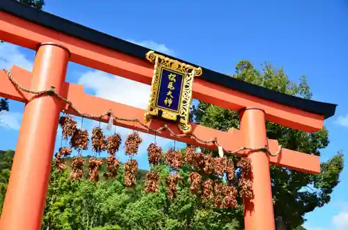 松尾大社の鳥居