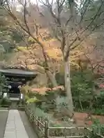 黄梅院(円覚寺塔頭)の庭園