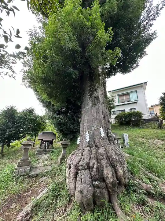 神明社(東京都)