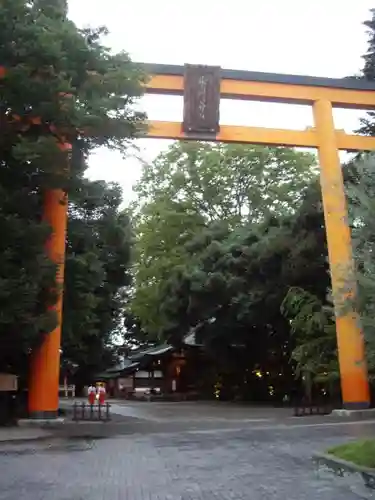 川越氷川神社の鳥居