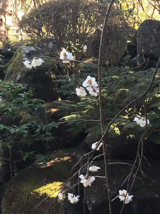 報国寺(神奈川県)