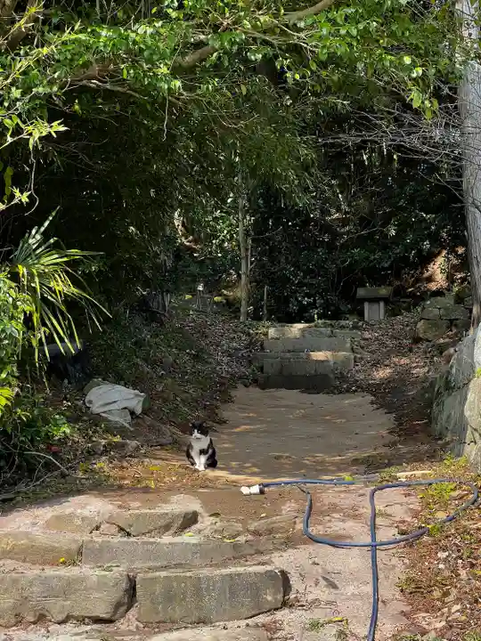 飯盛神社(長崎県)