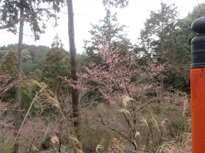 石山寺(滋賀県)