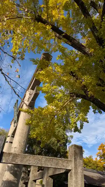 豊国神社(京都府)