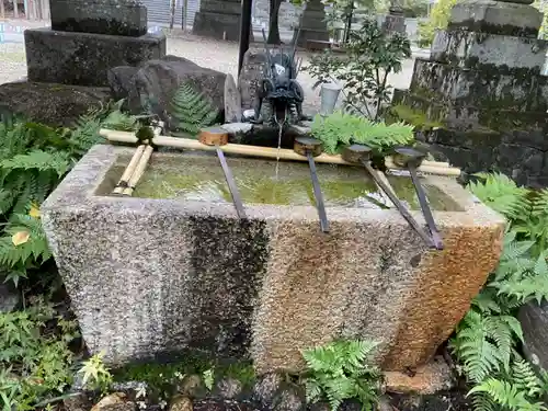 八事山 興正寺(愛知県)