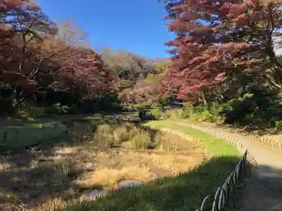 明治神宮(東京都)