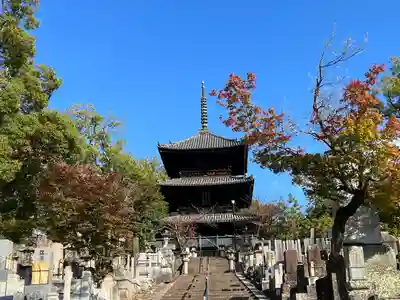 くろ谷 金戒光明寺(京都府)
